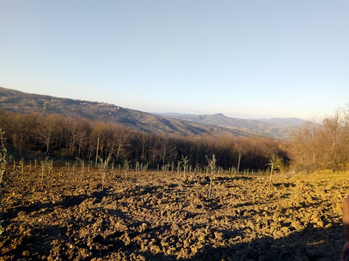 Fattoria Il Pigelleto Villa Piancastagnaio Ngoại thất bức ảnh