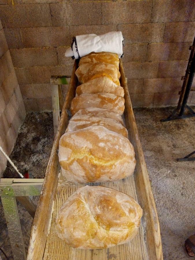 Fattoria Il Pigelleto Villa Piancastagnaio Ngoại thất bức ảnh