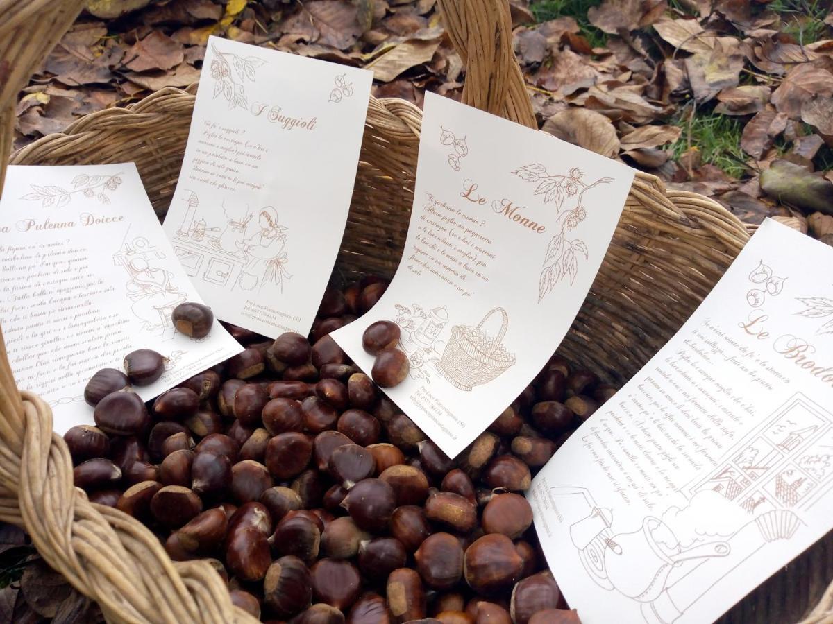 Fattoria Il Pigelleto Villa Piancastagnaio Ngoại thất bức ảnh