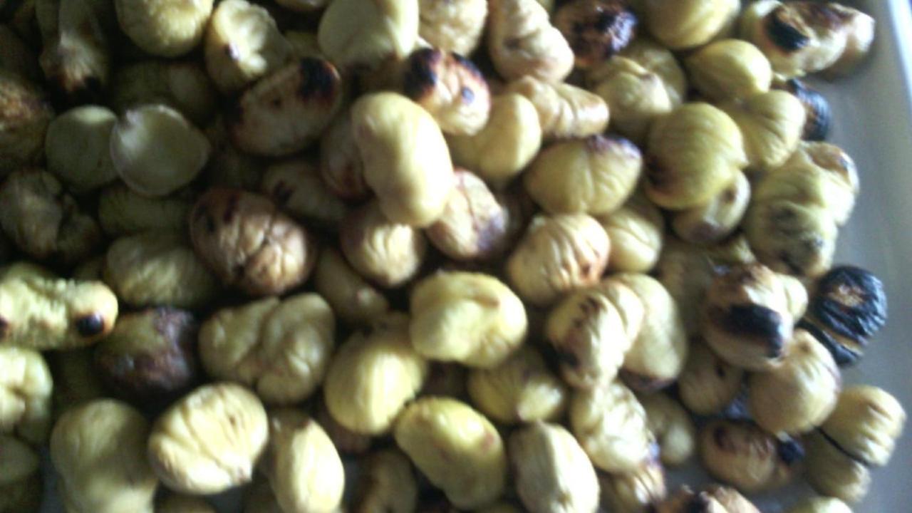 Fattoria Il Pigelleto Villa Piancastagnaio Ngoại thất bức ảnh
